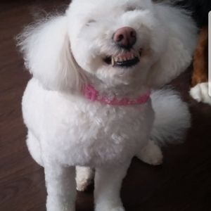 Meet your Posher, Tracey